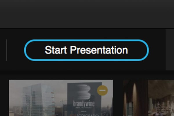ReviewStudio Presentation Mode